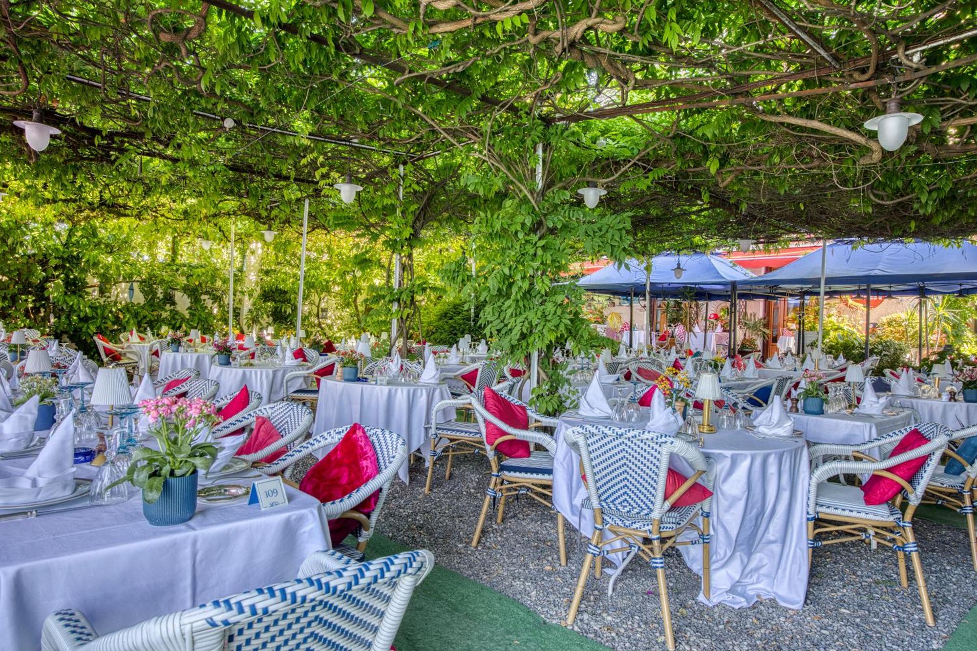 Les Cygnes Hotel Évian-les-Bains Eksteriør billede
